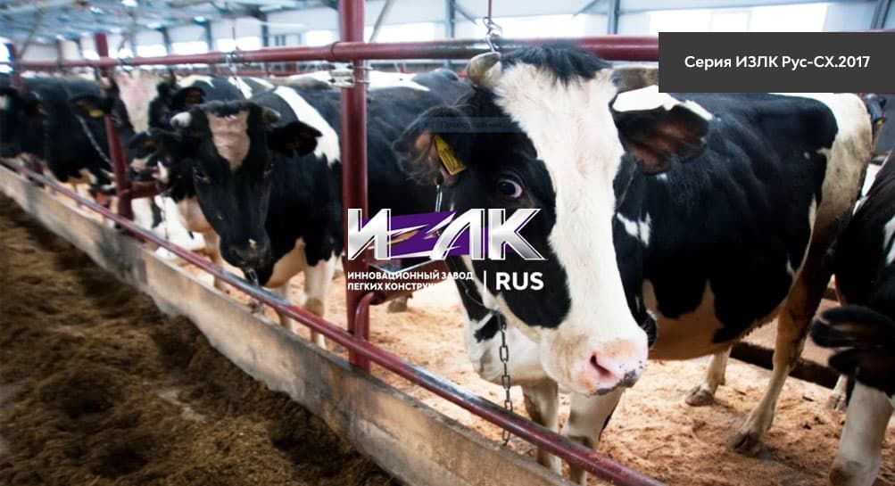 Основные виды коровников, эксплуатируемых животноводами Кемерово и региона